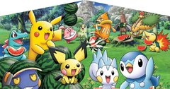 Pokemon Banner Pokemon Banner